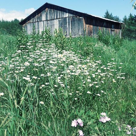 Gite Pousse Pioche Bed & Breakfast Notre-Dame-des-Monts Exterior photo