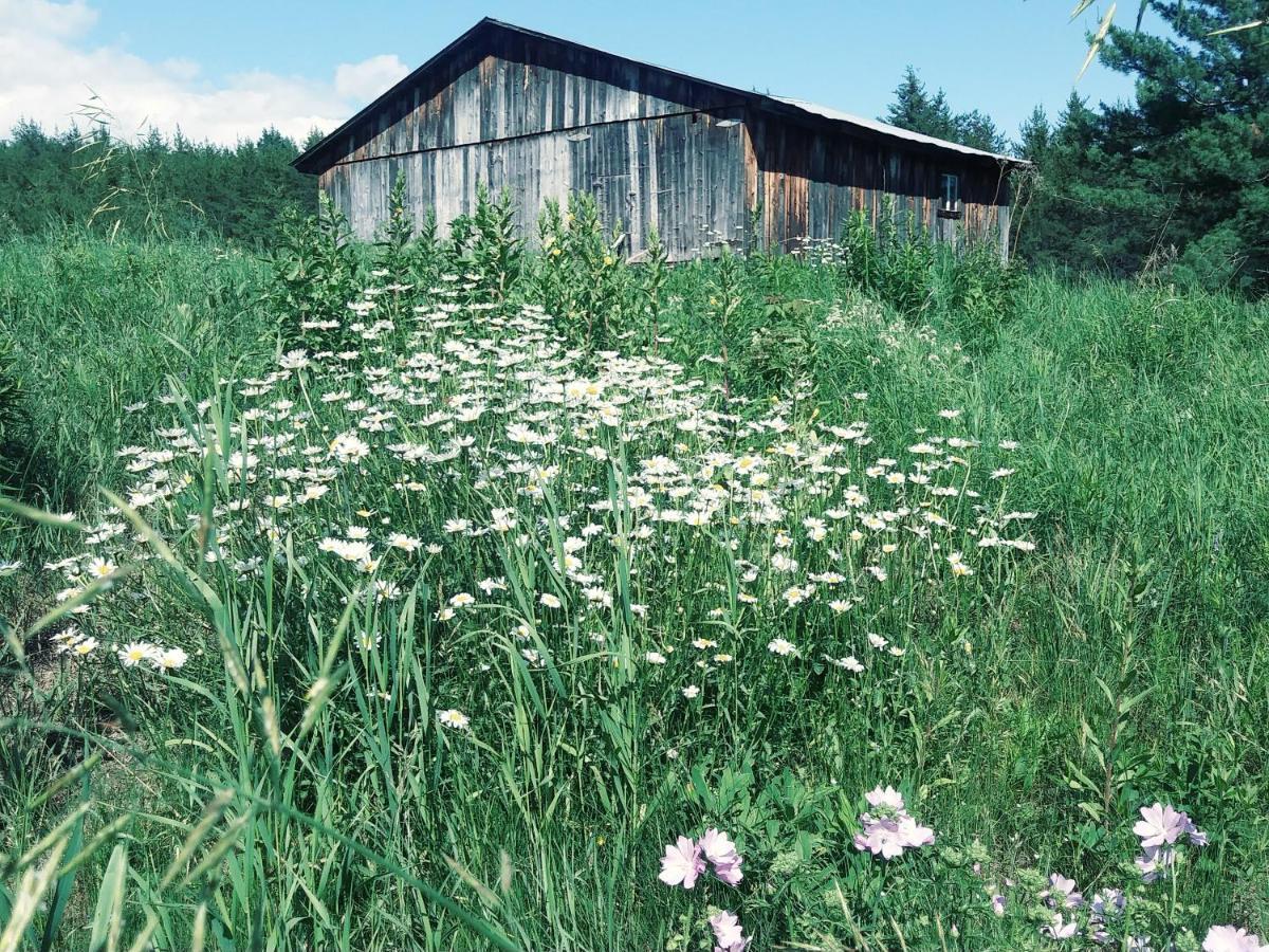 Gite Pousse Pioche Bed & Breakfast Notre-Dame-des-Monts Exterior photo