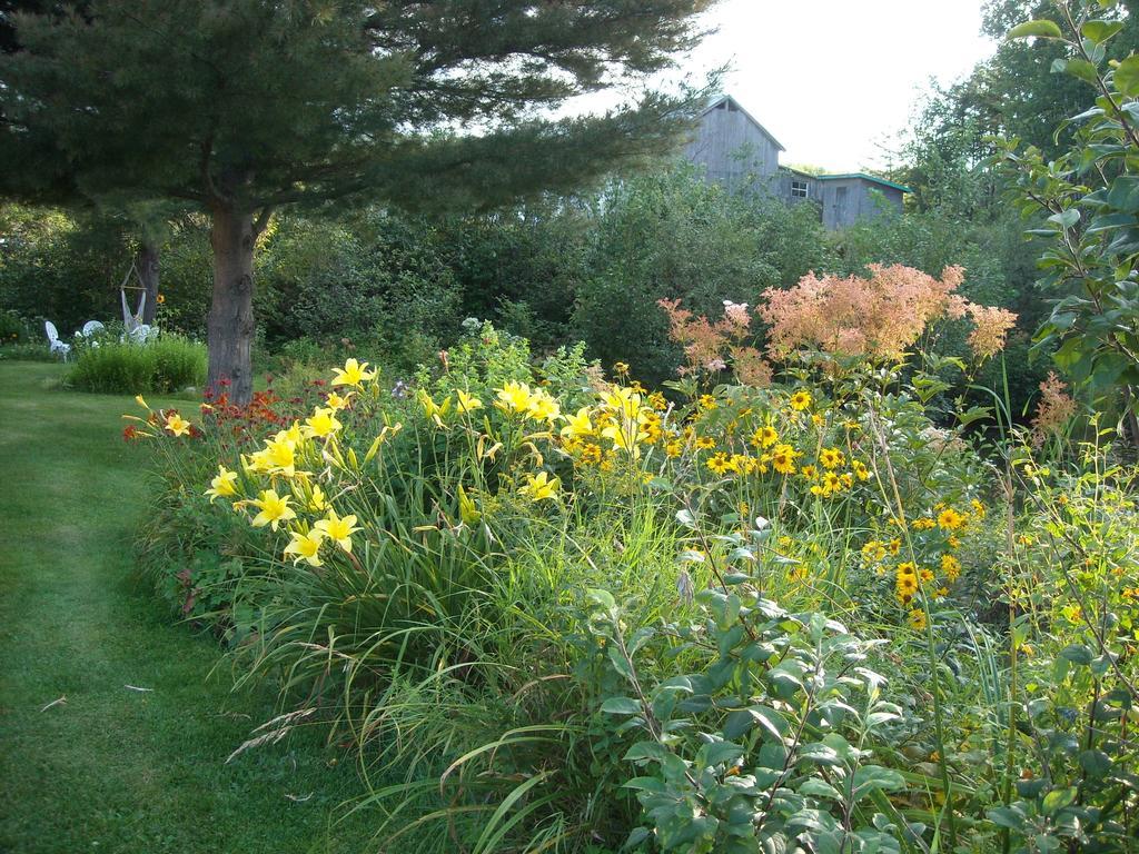 Gite Pousse Pioche Bed & Breakfast Notre-Dame-des-Monts Exterior photo