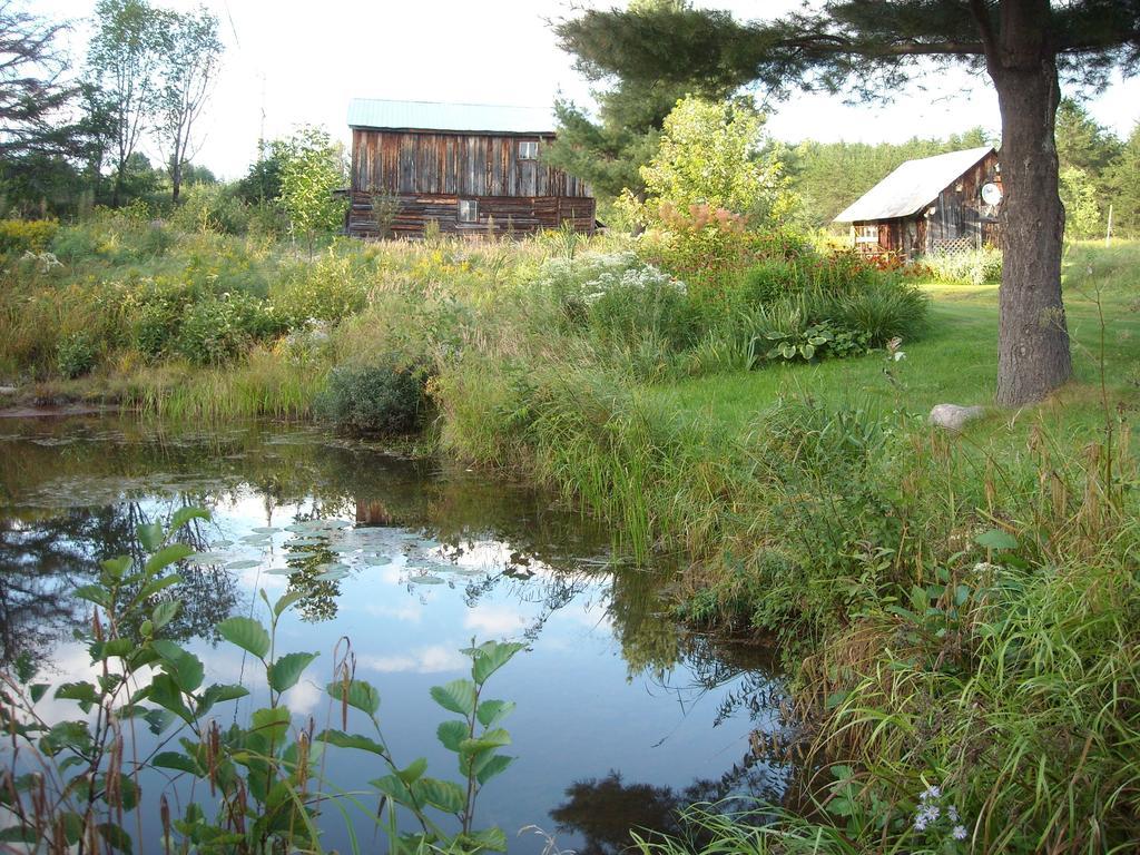 Gite Pousse Pioche Bed & Breakfast Notre-Dame-des-Monts Exterior photo